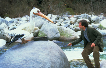 Imagen de Jumanji - 3
