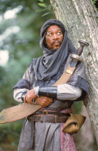 Imagen de Robin Hood, príncipe de los ladrones - 5