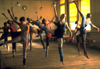 Imagen de Fama - 13