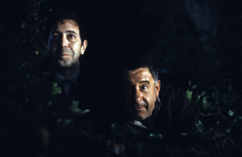 Imagen de El bosque animado - 3