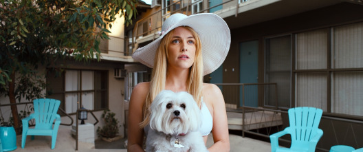 Imagen de Lo que esconde Silver Lake - 9