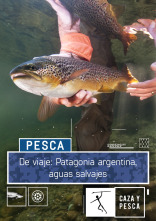 Imagen de De Viaje: Patagonia argentina, aguas salvajes - 1