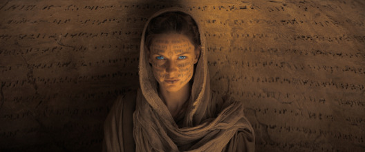 Imagen de Dune - 12