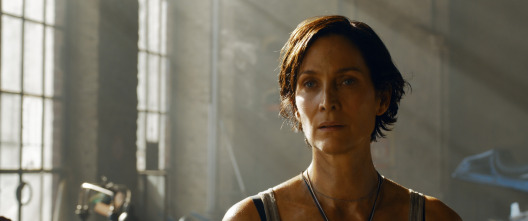 Imagen de Matrix Resurrections - 9
