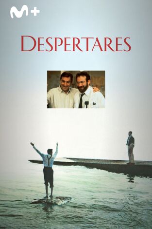 Despertares