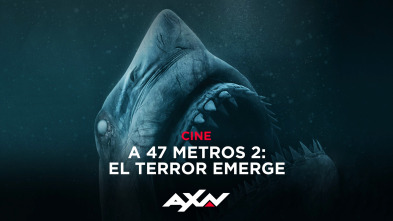 Imagen de A 47 metros 2: El terror emerge - 9