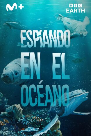 Espiando en el océano