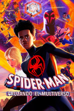 Imagen de Spider-Man: cruzando el multiverso - 1