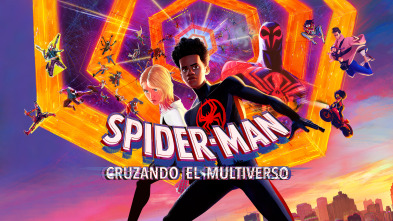 Imagen de Spider-Man: cruzando el multiverso - 2