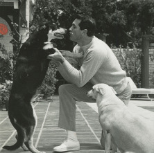 Imagen de Rock Hudson: solo el cielo lo supo - 8