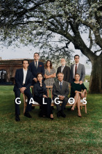 Imagen de Galgos (T1) - 3