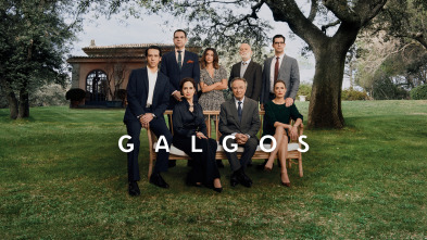 Imagen de Galgos (T1) - 4