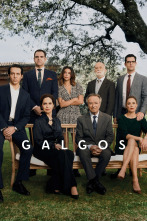 Imagen de Galgos (T1) - 1