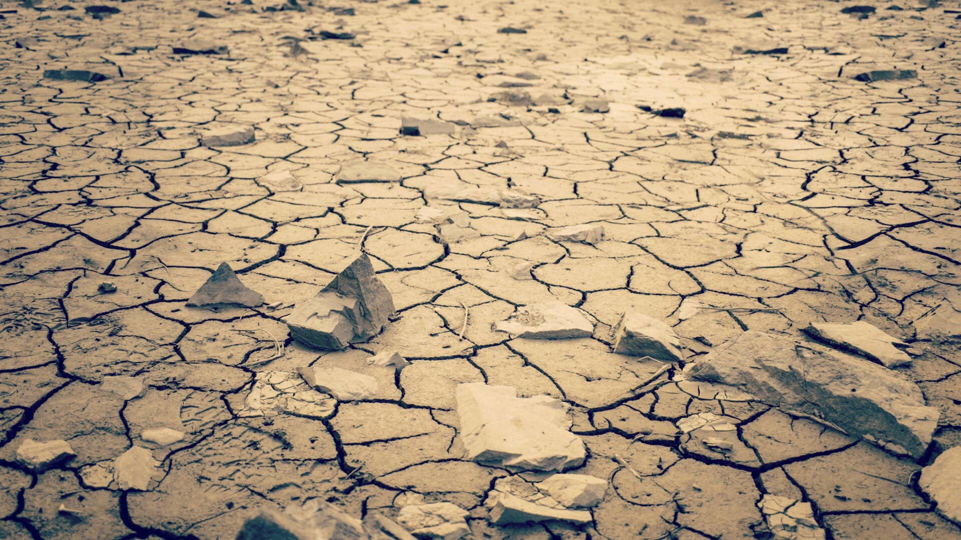 Cambio climático