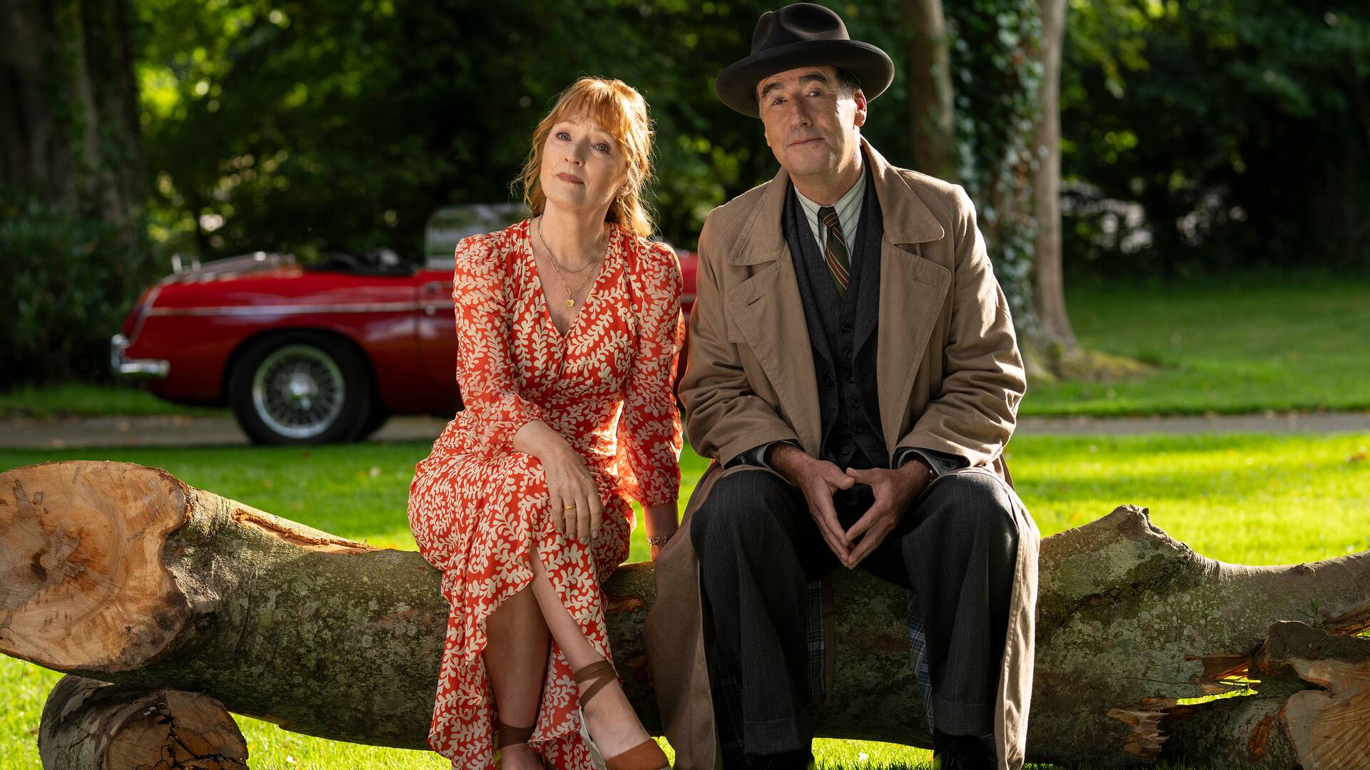 Los casos de Susan Ryeland