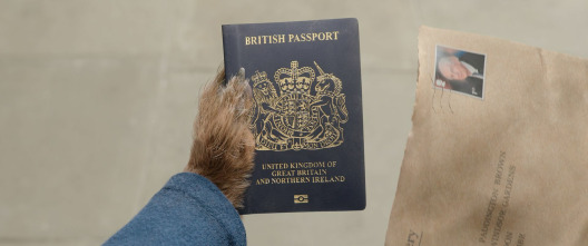 Imagen de Paddington: aventura en la selva - 9