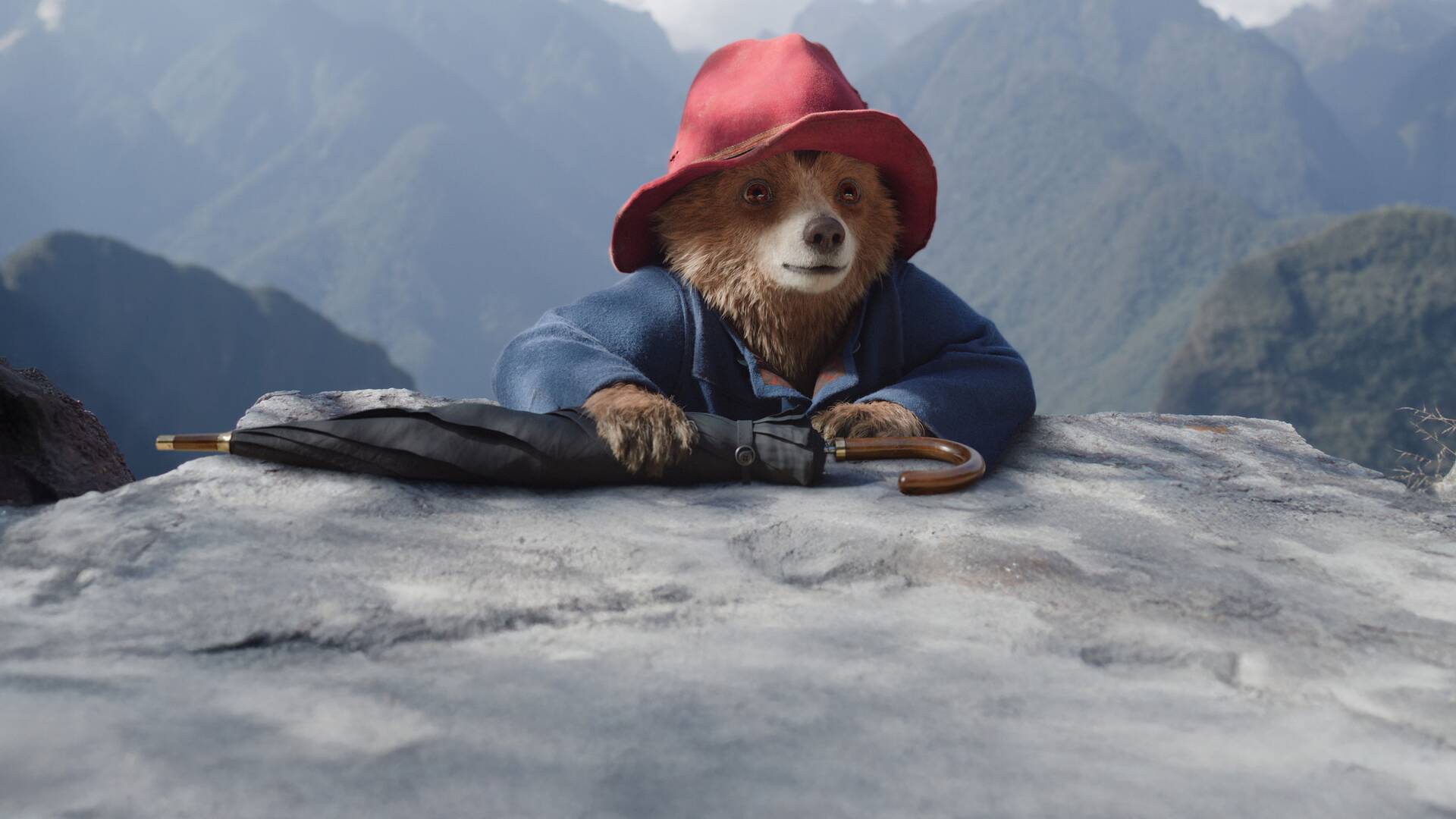Paddington: aventura en la selva