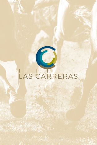 Carreras de caballos - Turf
