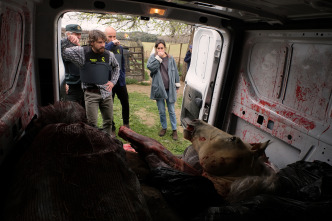 Imagen de La caza Guadiana (T3): Ep.5 Al otro lado del rio - 3