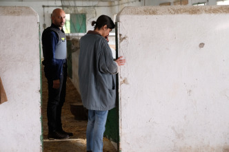 Imagen de La caza Guadiana (T3): Ep.5 Al otro lado del rio - 5