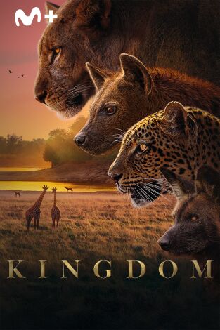 Kingdom