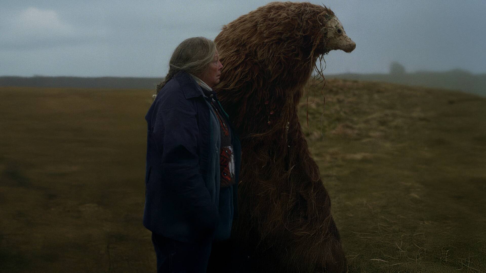 Un oso recuerda