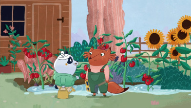 Imagen de Polo - 6