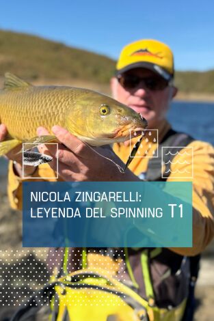 Nicola Zingarelli: Leyenda del spinning