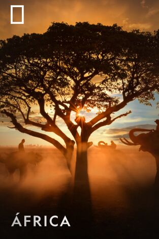 ÁFrica