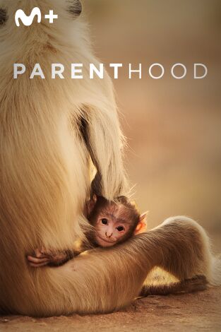 Parenthood