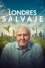 Imagen de Londres salvaje - 1