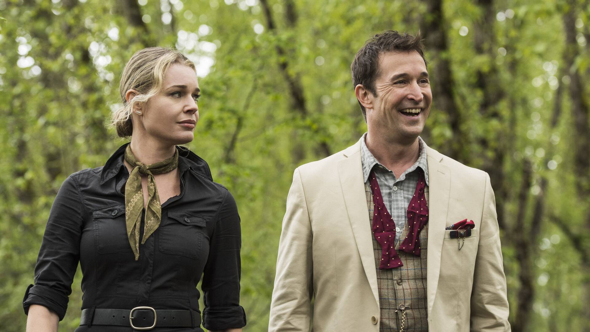 The Librarians