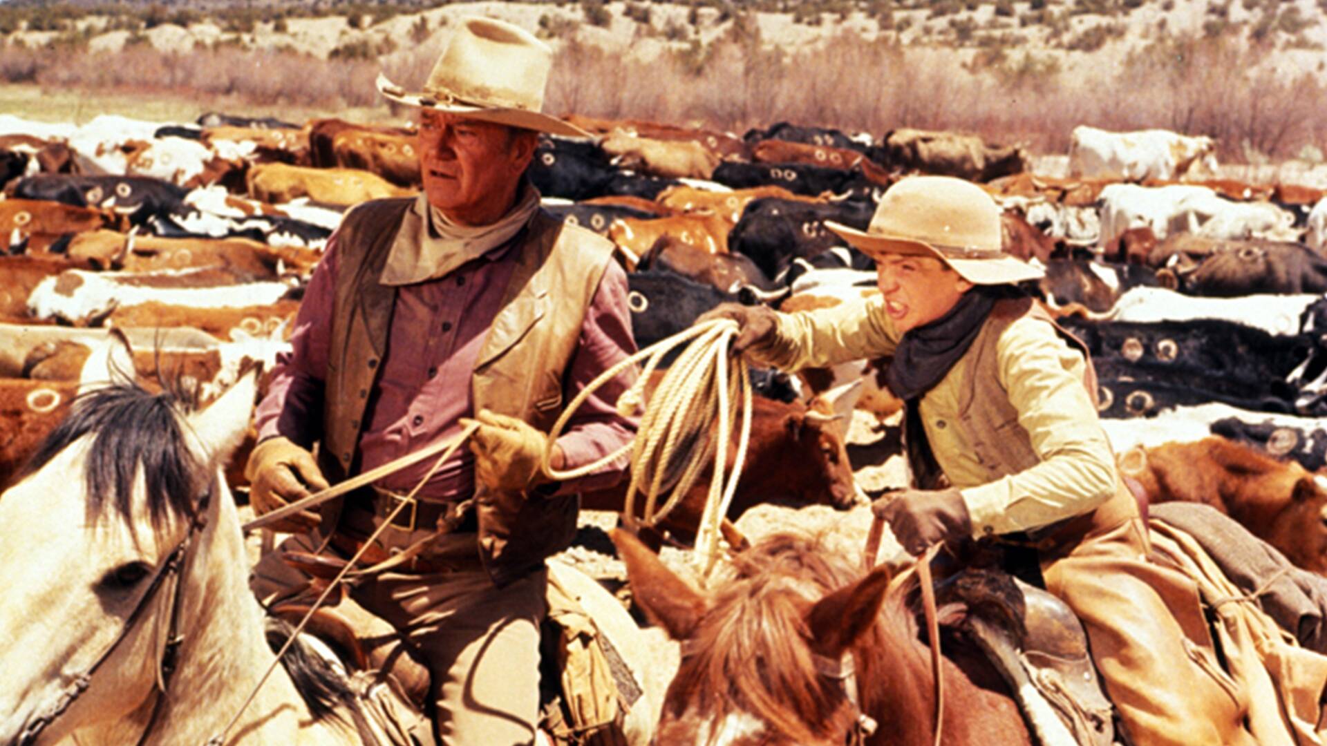 Los cowboys