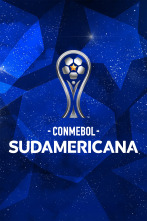 Imagen de Copa Sudamericana - 1