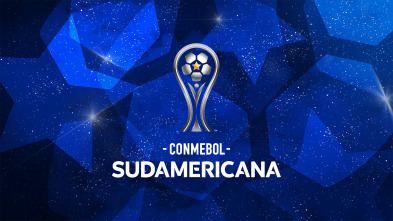 Imagen de Copa Sudamericana - 2