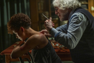 Imagen de The Killer - 6