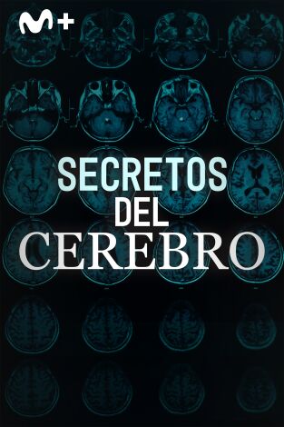 Secretos del cerebro