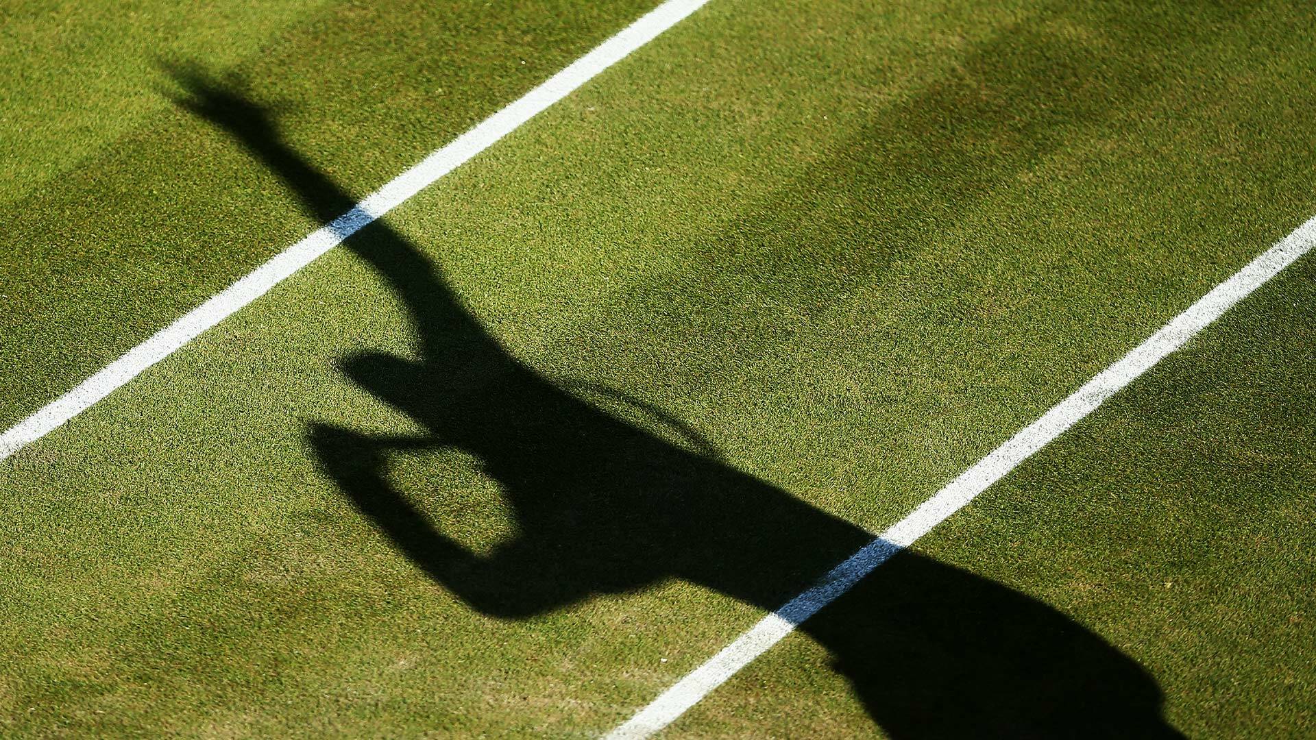 Femenino: Muchova - Noskova