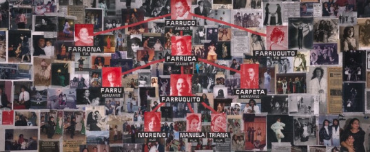 Imagen de Serás Farruquito - 6