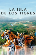 Imagen de La isla de los tigres  - 1