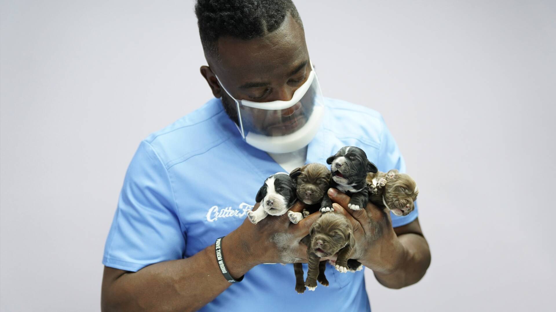 Critter Fixers: Veterinarios Rurales 6