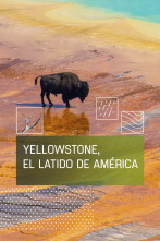 Imagen de Yellowstone I. El latido de América - 1