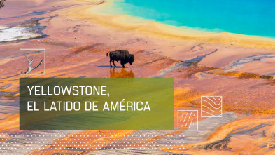 Imagen de Yellowstone I. El latido de América - 2