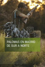 Imagen de Palomas en Madrid de sur a norte - 1