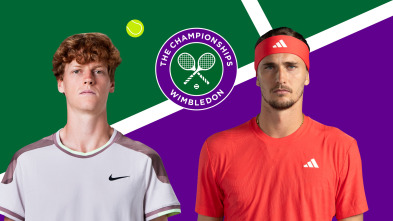Imagen de Masculino: Sinner - Zverev - 2