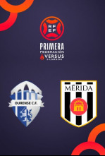 Imagen de Jornada 24: Ourense - Mérida - 3