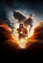 Imagen de Flash - 4