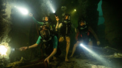Imagen de A 47 metros 2: El terror emerge - 14