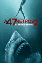 Imagen de A 47 metros 2: El terror emerge - 11