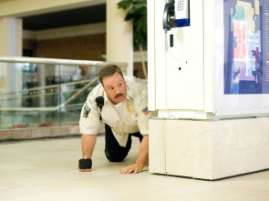 Imagen de Superpoli de centro comercial - 11